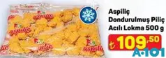ASPİLİÇ DONDURULMUŞ PİLİÇ ACILI LOKMA 500 G fiyat ve kampanya bilgisi